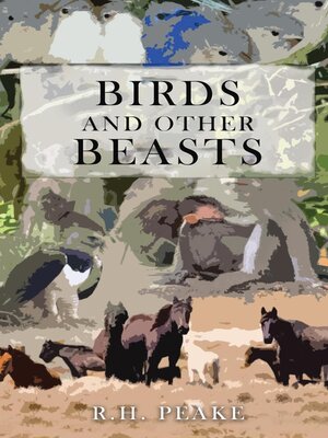 cover image of Birds and Other Beasts